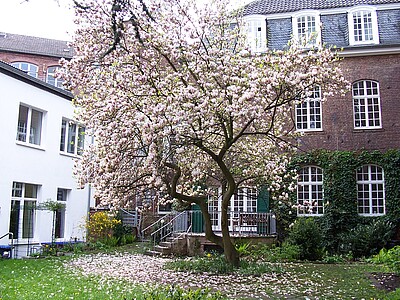 Versteckt im Innenhof des "Hauses der Evangelischen Kirche" in der Frère-Roger-Straße: Ein Magnolienbaum. In diesem Haus befindet sich auch das Verwaltungsamt.